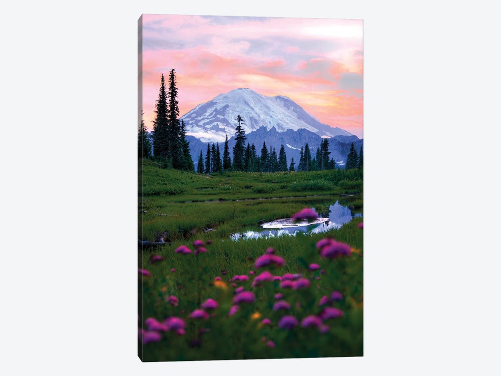 You Are Beautiful - Mount Rainier National Park 1-piece Art Print