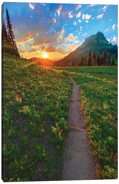 Light Chasers - Mount Rainier NP Canvas Art Print - Cascade Range Art