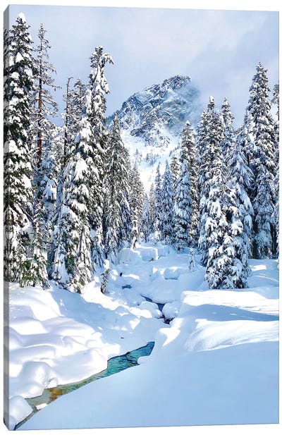 Mountains Are Calling - Snoqualmie, Washington Canvas Art Print - Jitabebe