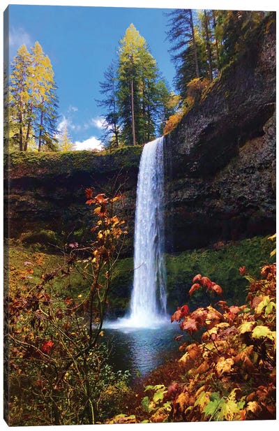 Going With The Flow - Silver Falls, Oregon Canvas Art Print