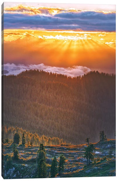 Sunrise - Mount Baker Canvas Art Print - Sunset Shades