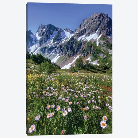 A Summer Bloom - North Cascade NP Canvas Print #JTB84} by Jitabebe Canvas Print