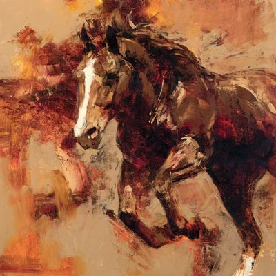 Earth, Wind, Fire by Julie T. Chapman framed canvas print