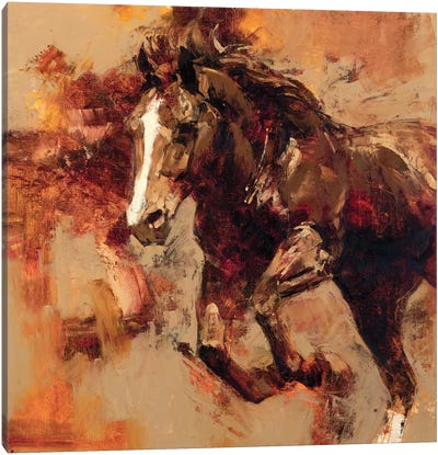 Earth, Wind, Fire Canvas Art Print - Horse Art