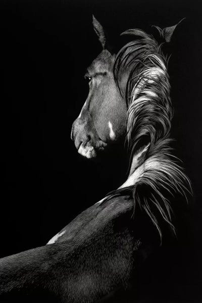 Black & White: Sunstruck by Julie T. Chapman