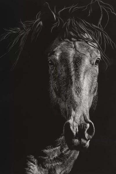 Western Décor: Wild Scratchboard VI by Julie T. Chapman