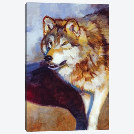 Wolf Study II Canvas Print #JTC116} by Julie T. Chapman Canvas Artwork