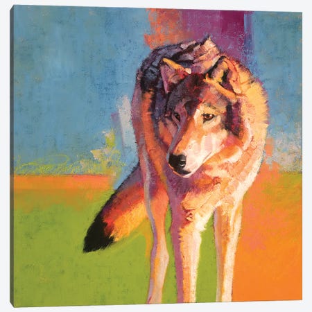 Wolf Study III Canvas Print #JTC117} by Julie T. Chapman Canvas Wall Art