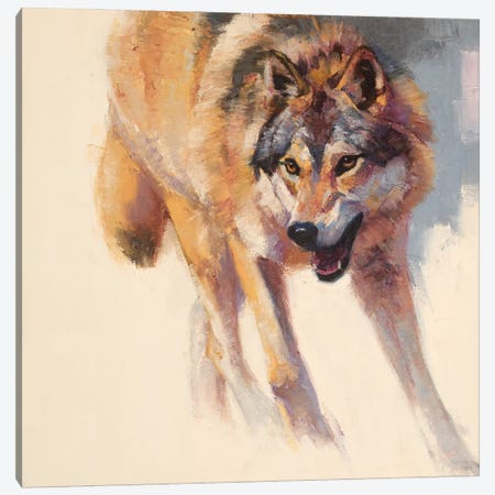 Wolf Study IV Canvas Print #JTC118} by Julie T. Chapman Canvas Art Print