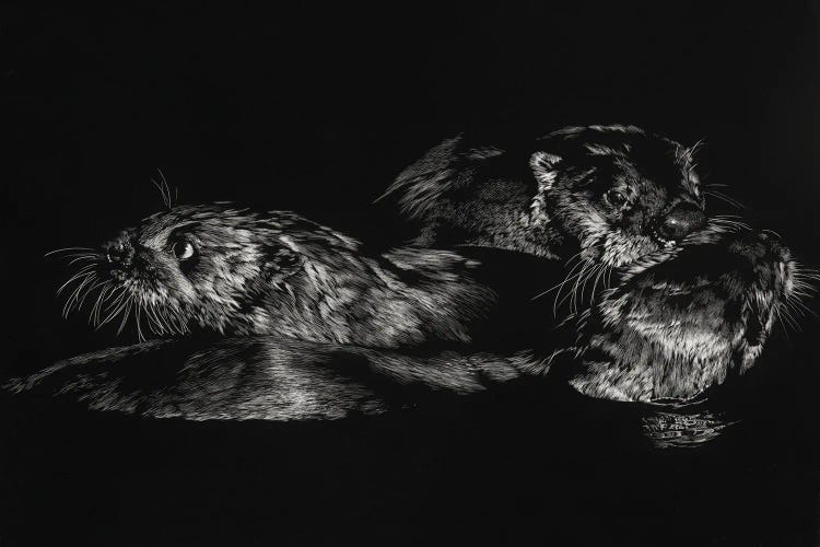 Fluid Dynamics