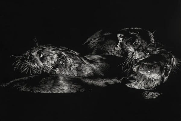 Otters: Fluid Dynamics by Julie T. Chapman