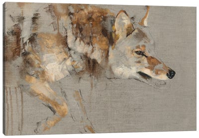The Drifter Canvas Art Print - Wolf Art
