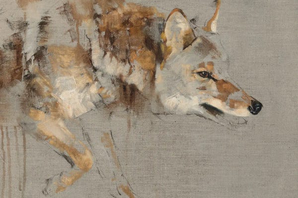 Coyotes: The Drifter by Julie T. Chapman