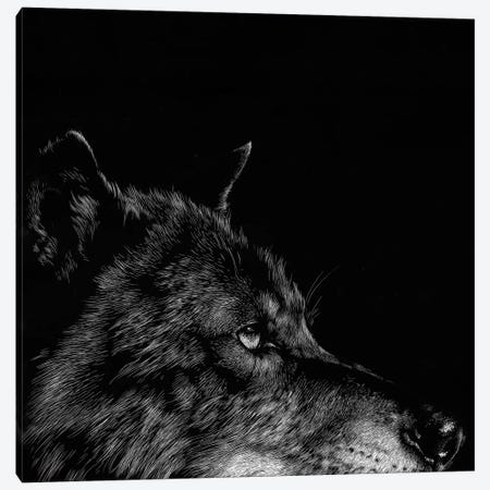 Wolf I Canvas Print #JTC13} by Julie T. Chapman Canvas Artwork