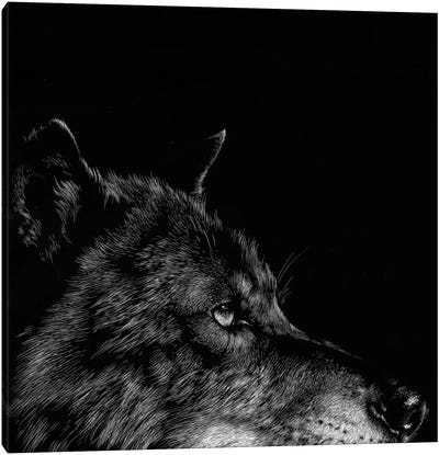 Wolf I Canvas Art Print - Julie T. Chapman