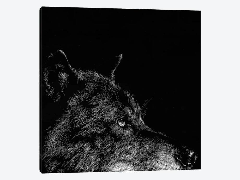 Wolf I by Julie T. Chapman 1-piece Canvas Print