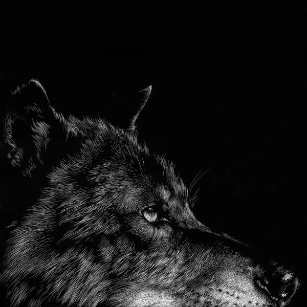 Wolves: Wolf I by Julie T. Chapman