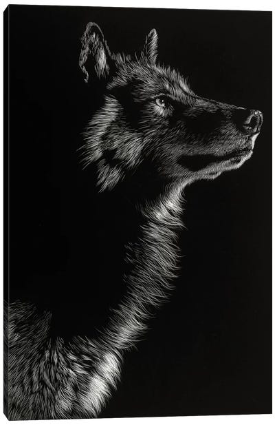 Wolf II Canvas Art Print - Black & White Decorative Art