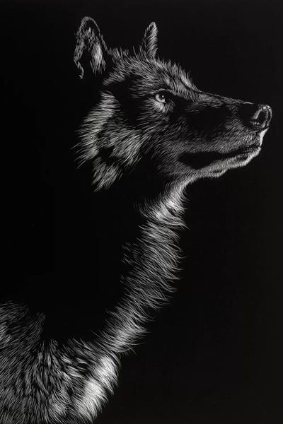 Large Black & White Art - Canvas Prints: Wolf II by Julie T. Chapman