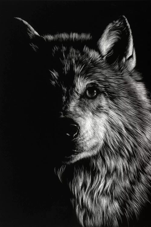 Wolf III