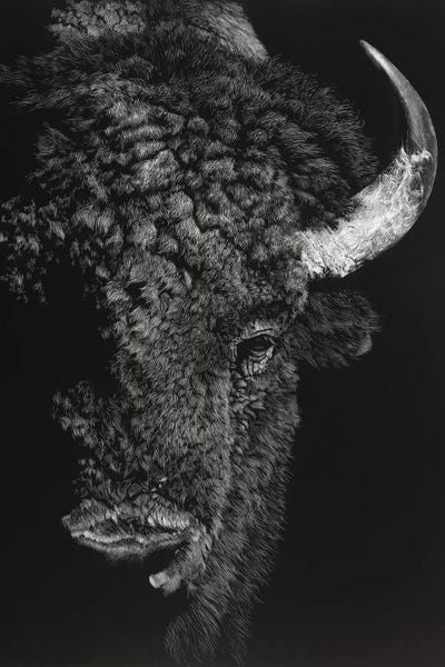 Western Décor: Black Glimpse I by Julie T. Chapman