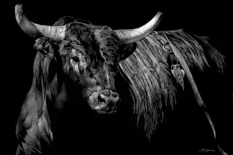 Brindle Rodeo Bull by Julie T. Chapman wall art