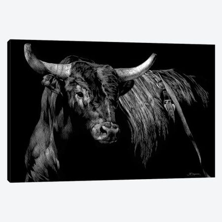 Brindle Rodeo Bull Canvas Print #JTC2} by Julie T. Chapman Canvas Wall Art