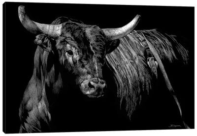 Brindle Rodeo Bull Canvas Art Print - Black & White Animal Art