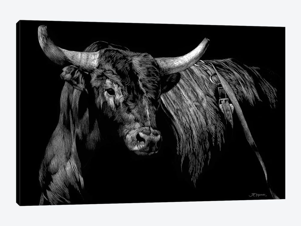 Brindle Rodeo Bull by Julie T. Chapman 1-piece Canvas Art Print
