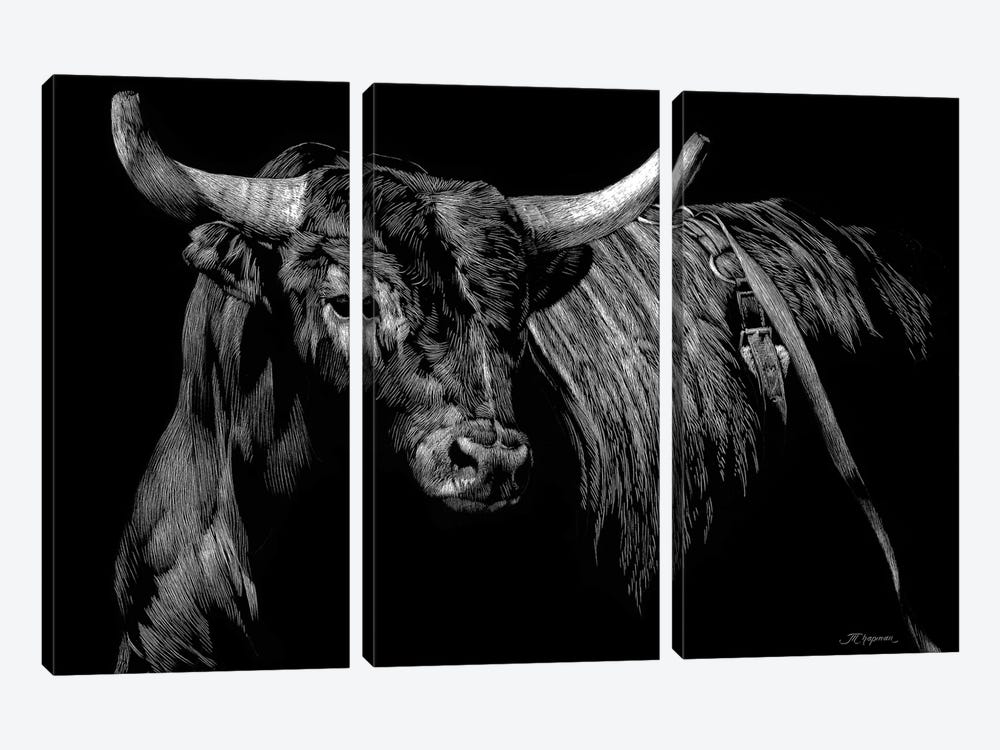 Brindle Rodeo Bull by Julie T. Chapman 3-piece Canvas Print
