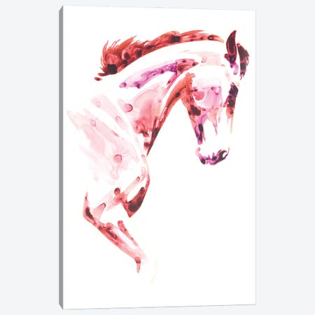 Garnet Horse I Canvas Print #JTC30} by Julie T. Chapman Canvas Wall Art