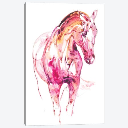 Garnet Horse III Canvas Print #JTC32} by Julie T. Chapman Canvas Art