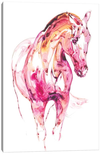 Garnet Horse III Canvas Art Print - Julie T. Chapman