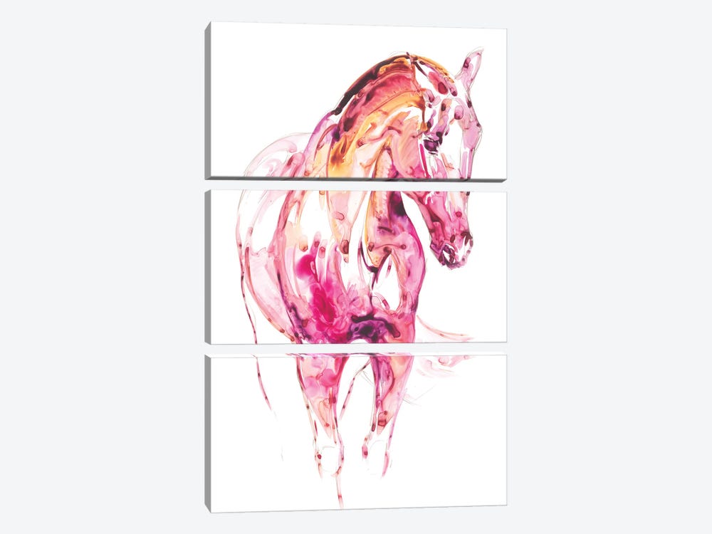 Garnet Horse III by Julie T. Chapman 3-piece Canvas Artwork