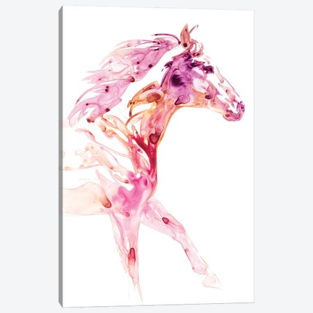 Garnet Horse IV Canvas Print #JTC33} by Julie T. Chapman Canvas Wall Art