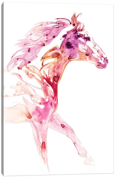 Garnet Horse IV Canvas Art Print - Julie T. Chapman