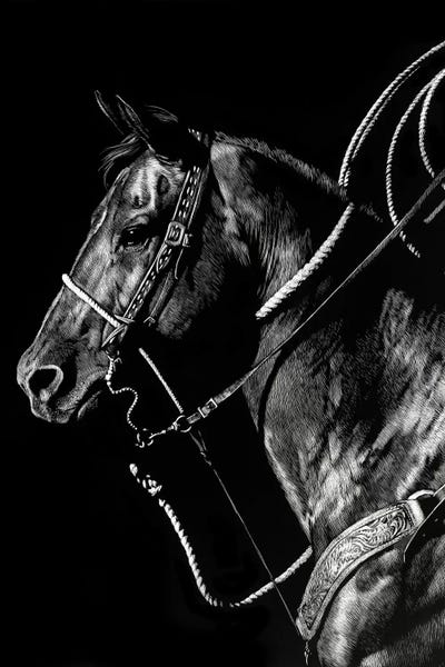 Scratchboard Rodeo V by Julie T. Chapman metal wall art