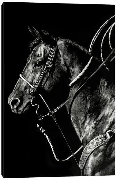 Scratchboard Rodeo V Canvas Art Print - Black & White Animal Art