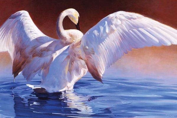 Geese: Boudoir by Julie T. Chapman