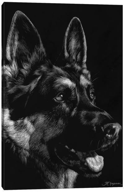 Canine Scratchboard I Canvas Art Print - Black & Dark Art