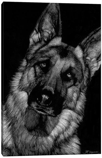 Canine Scratchboard II Canvas Art Print - Black & White Animal Art