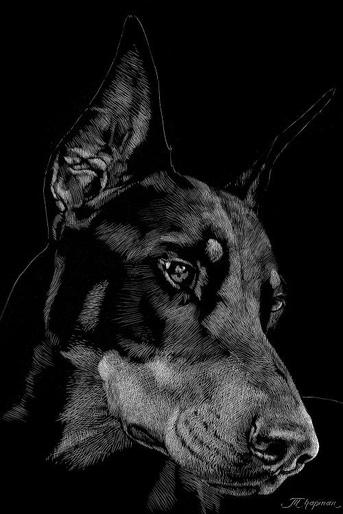 Canine Scratchboard III