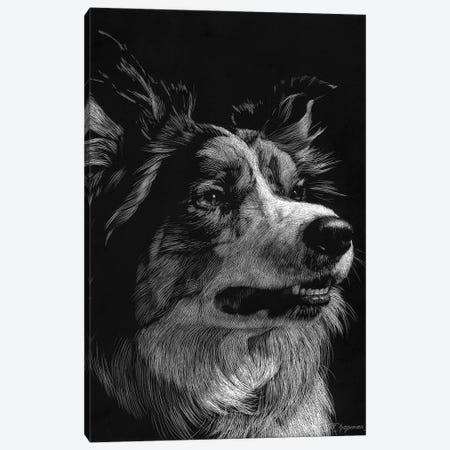 Canine Scratchboard IV Canvas Print #JTC52} by Julie T. Chapman Canvas Art