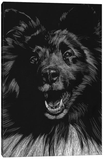 Canine Scratchboard IX Canvas Art Print