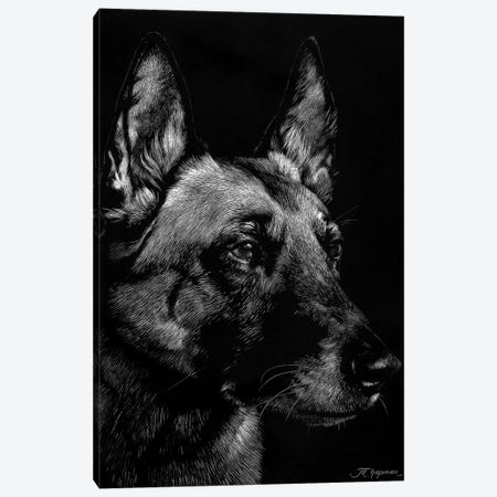 Canine Scratchboard V Canvas Print #JTC54} by Julie T. Chapman Canvas Art Print