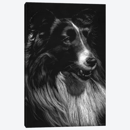 Canine Scratchboard VII Canvas Print #JTC56} by Julie T. Chapman Canvas Print