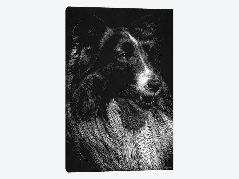 Canine Scratchboard VII by Julie T. Chapman 1-piece Canvas Wall Art