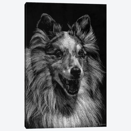 Canine Scratchboard VIII Canvas Print #JTC57} by Julie T. Chapman Canvas Art Print