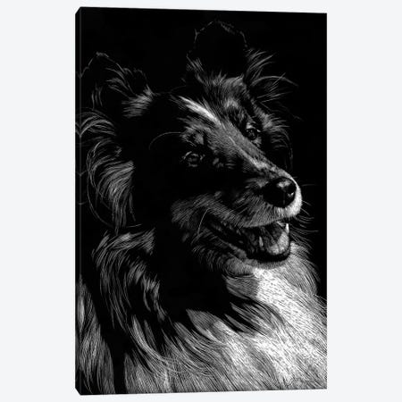 Canine Scratchboard XI Canvas Print #JTC59} by Julie T. Chapman Canvas Art