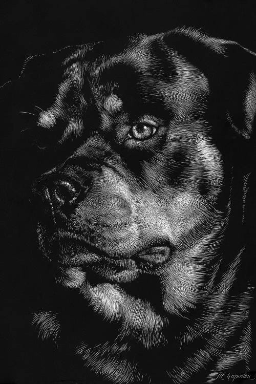 Canine Scratchboard XII